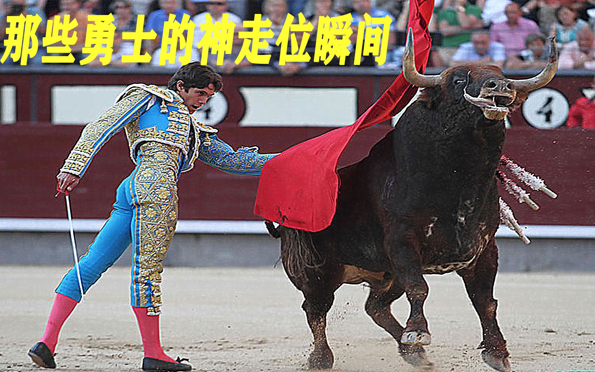 九游官方网站-Ning回归赛场，爆冷首场状态亮眼，公牛观众沸腾！的简单介绍